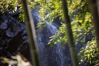 《失落星船：马拉松》Steam页面上线 支持中文配音