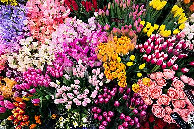 传《战地2042》首周销量420万 DICE多名资深开发者离开