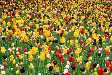 《伊苏回忆录：菲尔迦纳的誓约》中文版5月23日发售 登陆PS5＆PS4